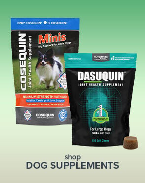 Dog Supplements